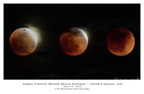 Super Flower Blood Moon Eclipse Photograph by Lisa Manifold | Pixels