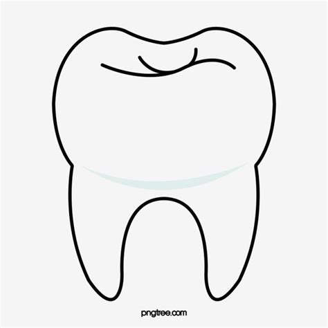 dessin dent - Recherche Google | Dentes desenho, Dente para colorir, Fada dos dentes