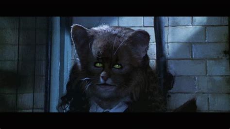 Image - Hermione-cat (1).jpg | Harry Potter Fanon Wiki | FANDOM powered by Wikia