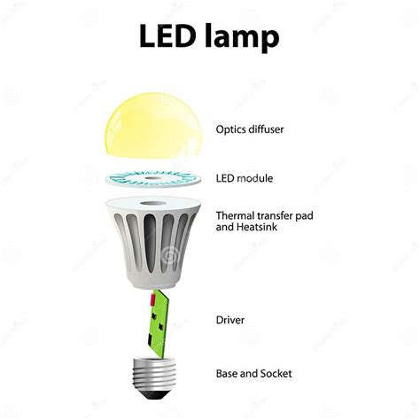 Basic Components of LED LightÂ Bulbs Stock Vector - Illustration of diffuser, labeled: 79882941