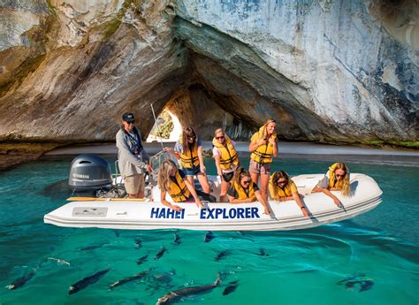 Hahei Explorer Cathedral Cove Boat Tour | Boat tours, Cathedral cove, Boat