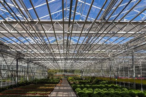 Premium Photo | Industrial greenhouse