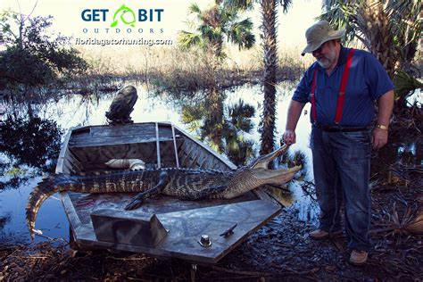 Gator Hunts Gallery – Trophy Florida Gator Hunting By Get Bit Outdoors