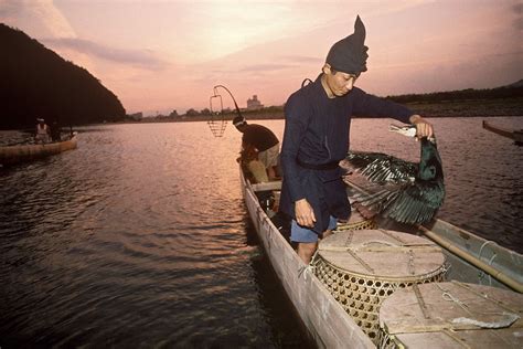 Michael Freeman Photography | Cormorant Fishing