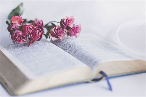 Flowers in the Bible: 10 Significant Varieties and Their Meanings