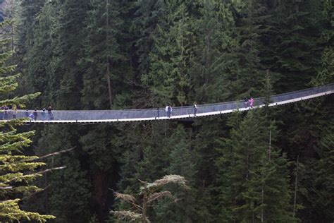 8 Scary Suspension Bridges You DO Want to Cross - Adventure Herald