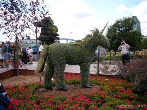 Topiary Art | Art