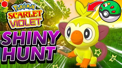 LIVE! GROOKEY SHINY HUNTING in Pokemon Scarlet and Violet - YouTube