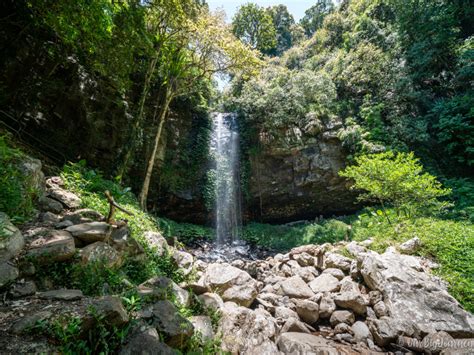 Chasing Waterfalls! Wonga Walk in Dorrigo National Park - Our Big Journey