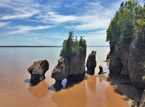 Nouveau-Brunswick : 3 incontournables de la Baie de Fundy