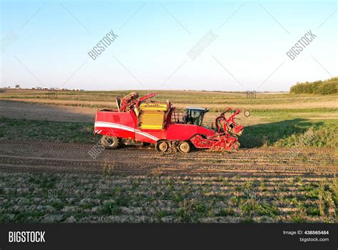 Potato Harvester Image & Photo (Free Trial) | Bigstock