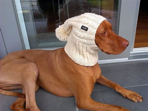 Handmade Dog Hats - Awesome Stuff 365