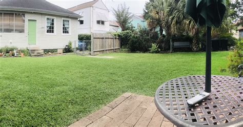 angels and people, life in New Orleans: back yard panorama from the patio table