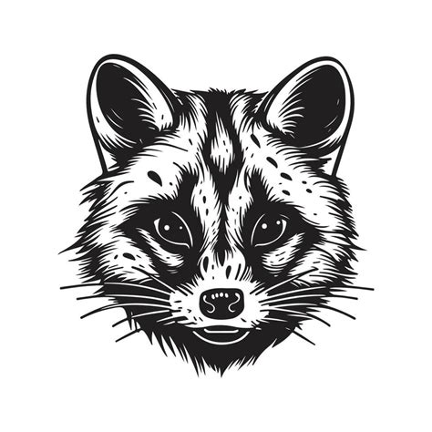 civet, vintage logo line art concept black and white color, hand drawn ...