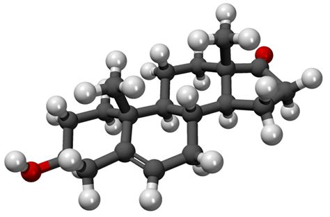 DHEAS Hormone Function and PCOS