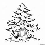 Majestic Pine Tree Coloring Page 61494 48663 sketch template