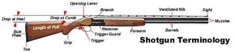 How to Make Sure Your Shotgun Really Fits You - The Truth About Guns