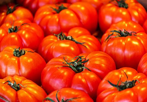 All About The Enormous Beefmaster Tomato - Minneopa Orchards