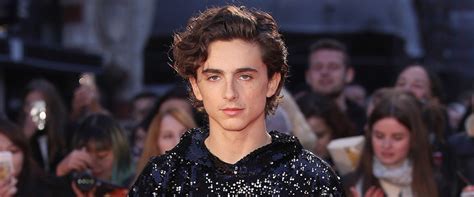 Timothée Chalamet - Exclusive Interviews, Pictures & More | Entertainment Tonight