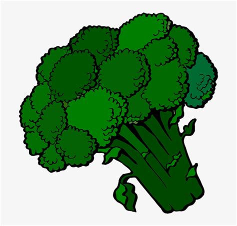 Clipart broccoli Royalty Free Vector Image - VectorStock - Clip Art Library