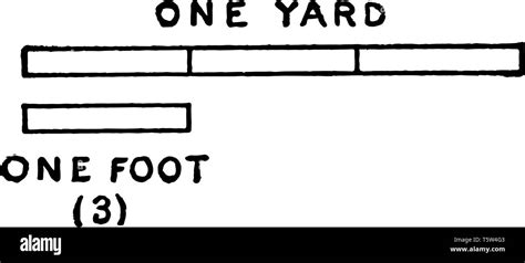 Picture showing the measurement that one foot is one third of a yard, vintage line drawing or ...