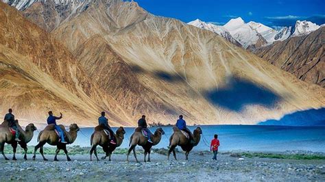 Unveiling the Mesmerizing Beauty of Leh-Ladakh: A Traveler's Guide!