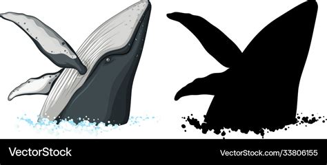 Humpback whale characters and its silhouette Vector Image