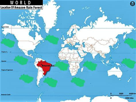 Restoring 10 Ocean Amazon Rainforests In Just 5 Years - Russ George