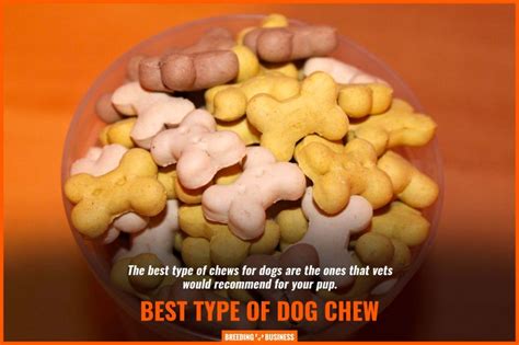 10 Best Vet-Recommended Dog Chews – Texture, Flavor, Reviews & FAQ