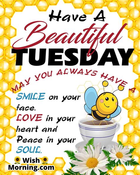 Best Tuesday Morning Quotes Wishes - Wish Morning