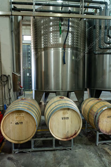 Fermentation vats and oak barrels - Stock Image - C059/3040 - Science ...