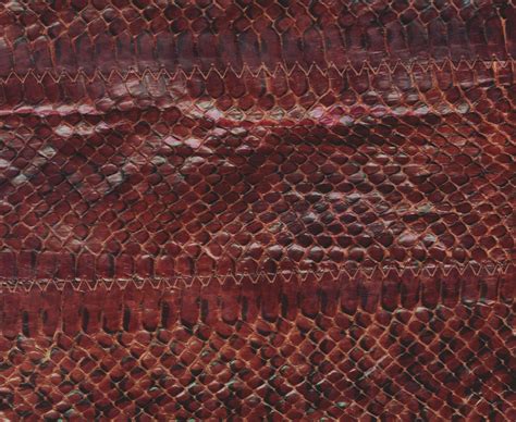 Snake Leather Skin Background Free Stock Photo - Public Domain Pictures