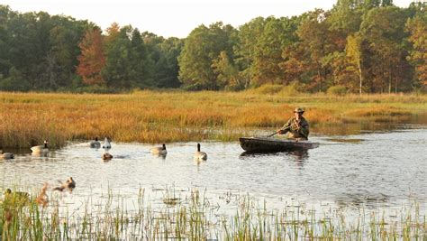 Wisconsin duck hunters again offered 60-day season