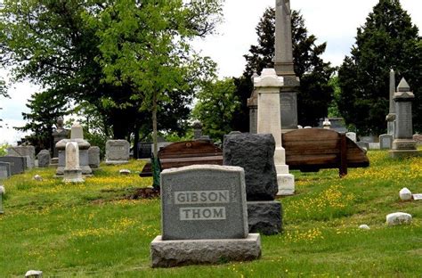 Congressional Cemetery - Nature Sacred