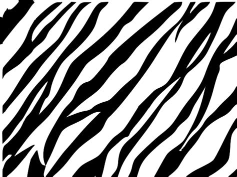 Zebra Edit Clip Art at Clker.com - vector clip art online, royalty free & public domain