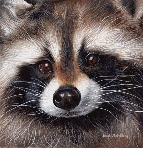 Raccoon Acrylic Painting