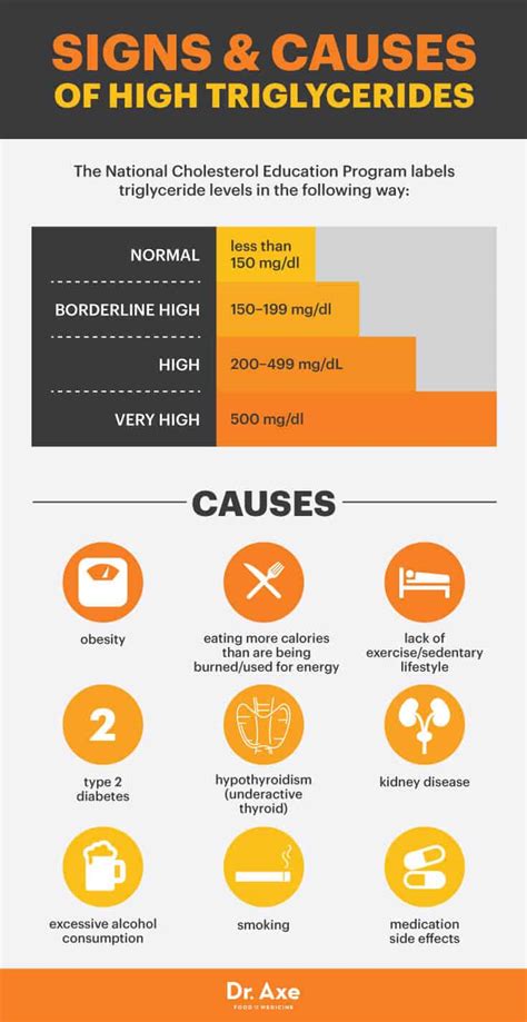 What High Triglycerides Mean for Your Heart & How to Lower ...