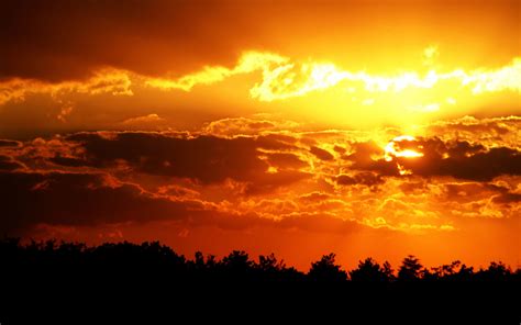 orange sky - Google Search | Orange sky, Sunset sky, Sunset wallpaper