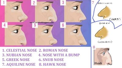 Learn The Beauty Of Blogging: What ? The 8+ Shape of Nose Reveals ...