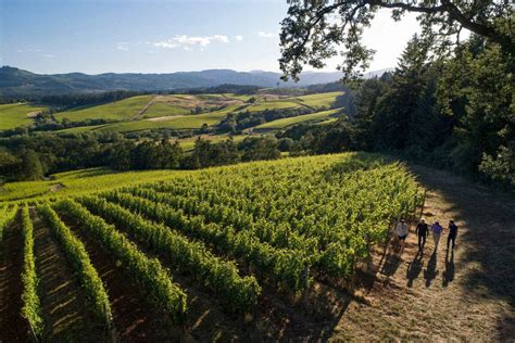 Willamette Valley Wineries to Visit | Wine Enthusiast