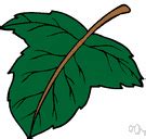 Foliage - definition of foliage by The Free Dictionary