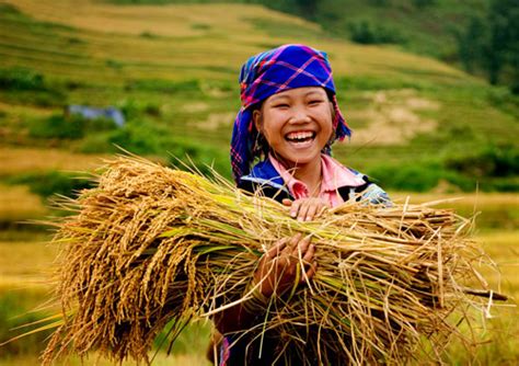 AGRICULTURE IN VIETNAM ~ Set up business venture in Vietnam