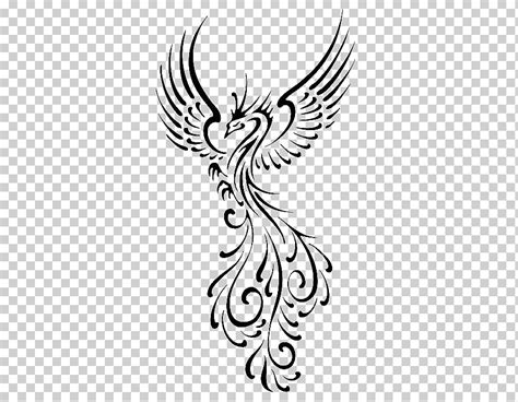 Dibujo de línea arte phoenix, phoenix, blanco, lápiz, monocromo png | Klipartz