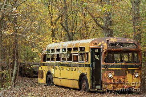 The Old Rustic School Bus Photograph by Linda D Lester