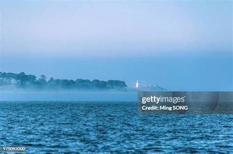 1,338 Advection Fog Stock Photos, High-Res Pictures, and Images - Getty Images