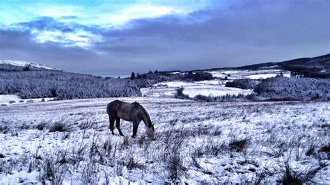 18 Photos That Prove Ireland Is Even More Beautiful Dusted With Snow