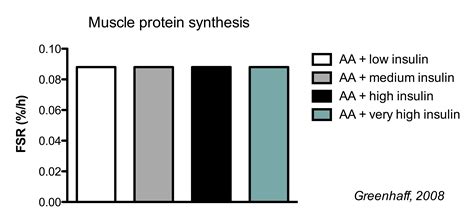 The Ultimate Guide to Muscle Protein Synthesis