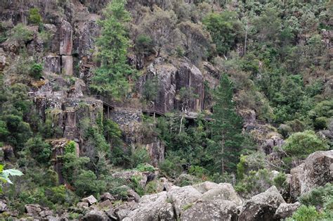 Cataract Gorge Reserve | Campervan Finder