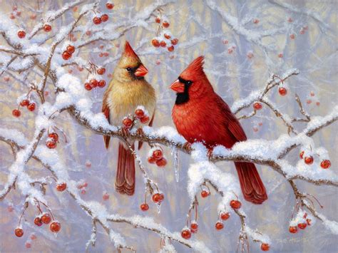 Winter Joy - Northern Cardinals - 30x40 image on 34x44 Giclée | Cardinal birds art, Birds ...