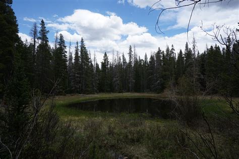 South Park Trail - GO HIKE COLORADO